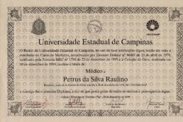 1999 - UNICAMP - Graduação em Medicina