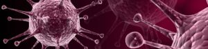 Covid-19 and the brain's functional connectivity