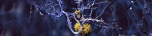 Depression and neuroinflammation