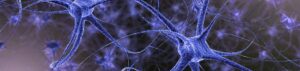 Bipolar Disorder and Lithium