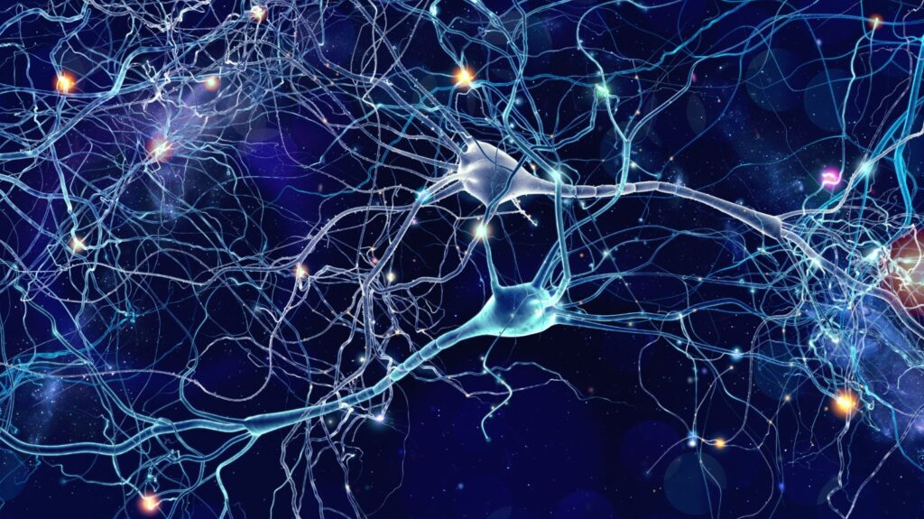 Estrutura de neurônios na esquizofrenia