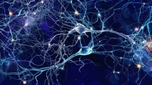 Estructura de las neuronas en la esquizofrenia