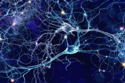 Estrutura de neurônios na esquizofrenia