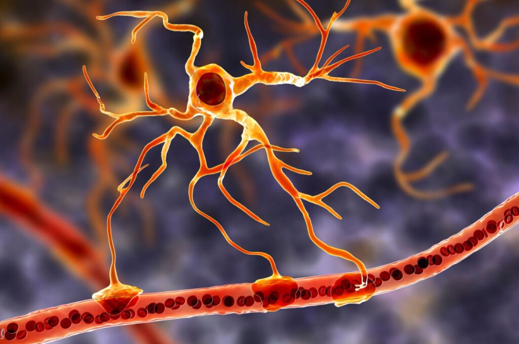 Estudo liga células cerebrais à depressão