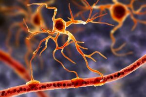 Study links brain cells to depression