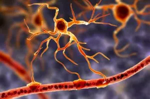 Un estudio relaciona las células cerebrales con la depresión