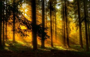 Does seasonal depression have a biological basis?