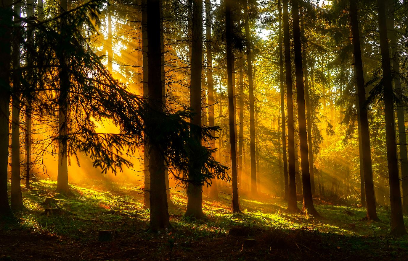 Does seasonal depression have a biological basis?