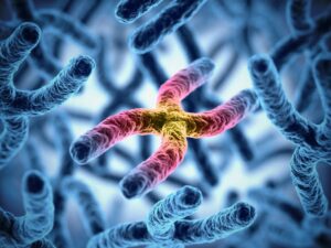 Genetics of neuropsychiatric traits by sex