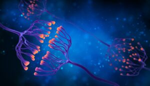 Excessive Synaptic Pruning in Schizophrenia?