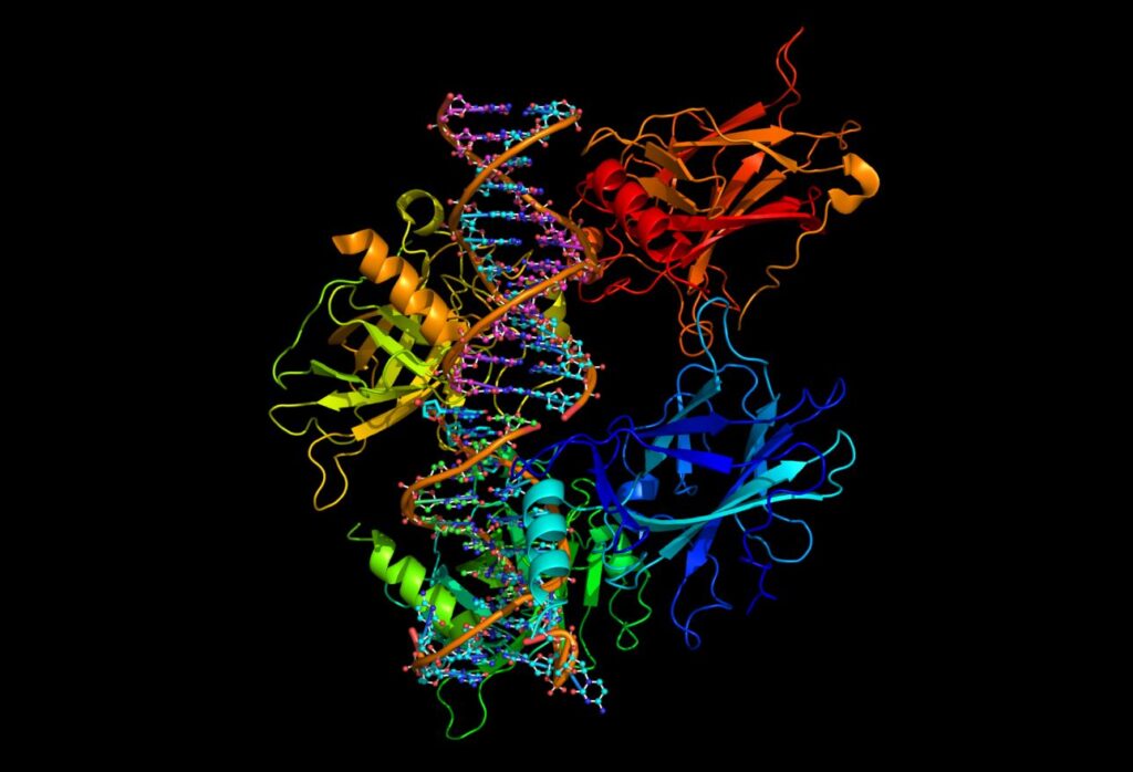 Transtorno Bipolar e Neuroquímica