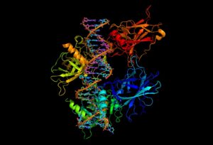 Bipolar Disorder and Neurochemistry