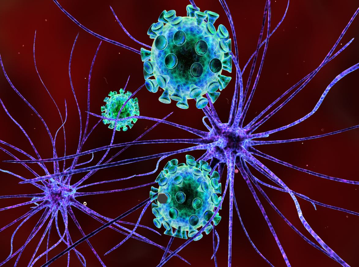 Post-traumatic stress disorder in severe post-COVID-19 patients