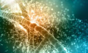 Epigenetic effects induced by mood stabilizers in schizophrenia and affective disorders