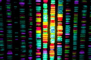 Genome analysis reveals extensive genetic overlap between schizophrenia, bipolar disorder and intelligence