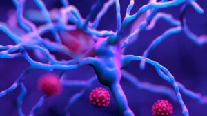Does COVID-19 affect the neurobiology of suicide?