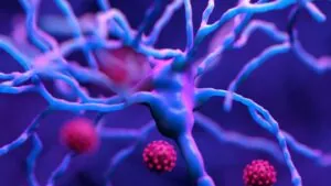 ¿Afecta la COVID-19 a la neurobiología del suicidio?
