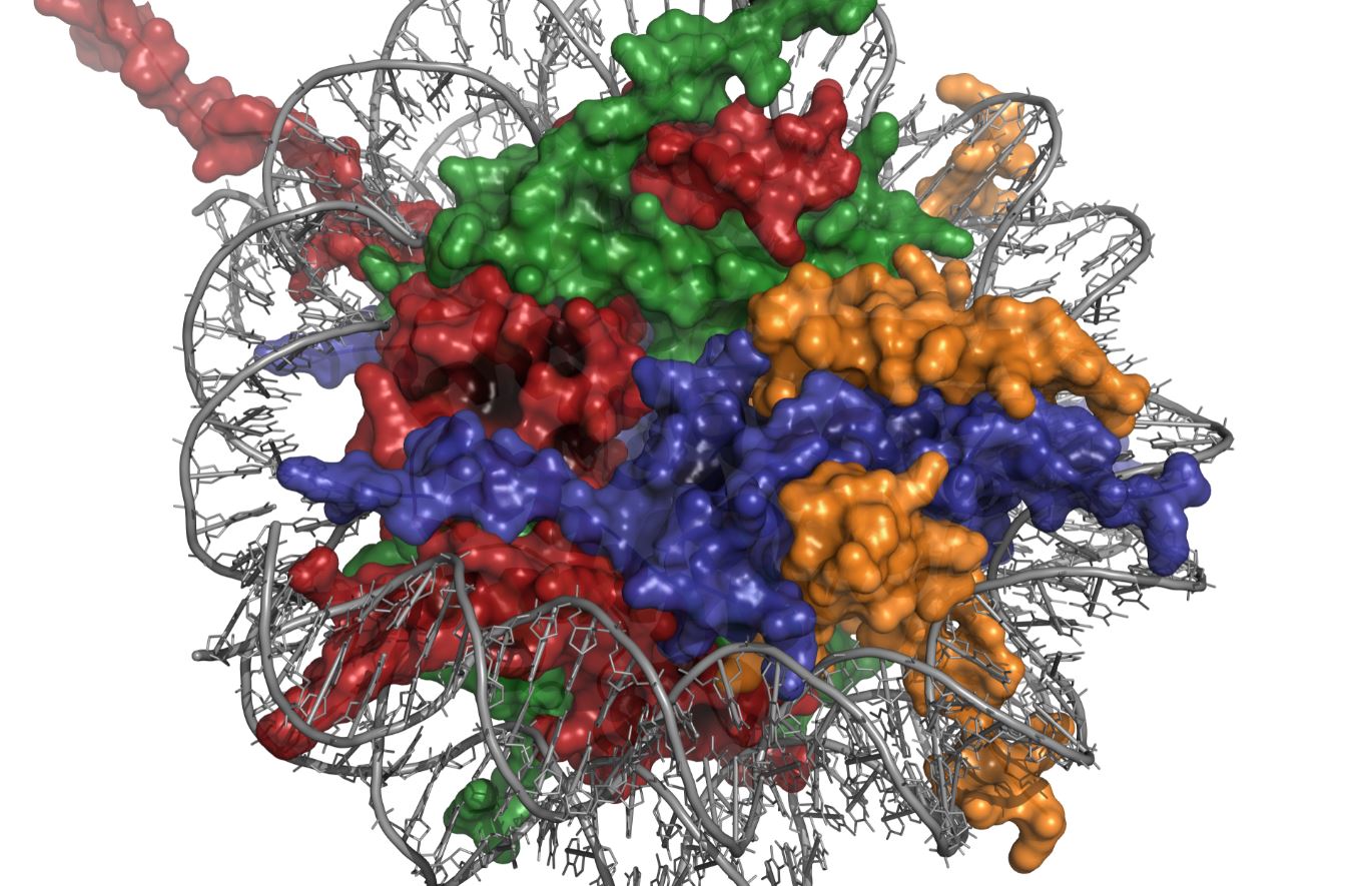 Epigenetics of depression