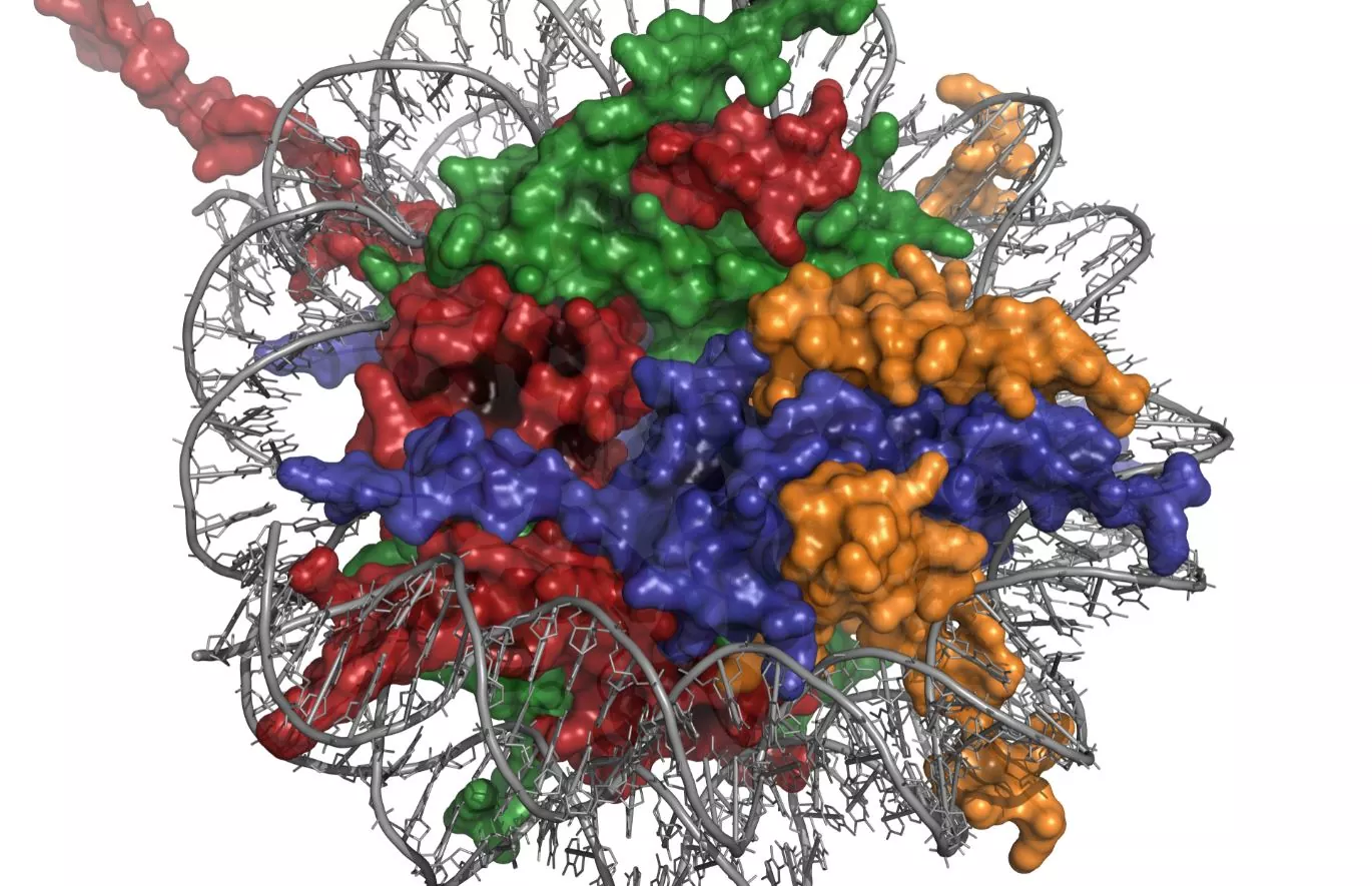Epigenetics of depression